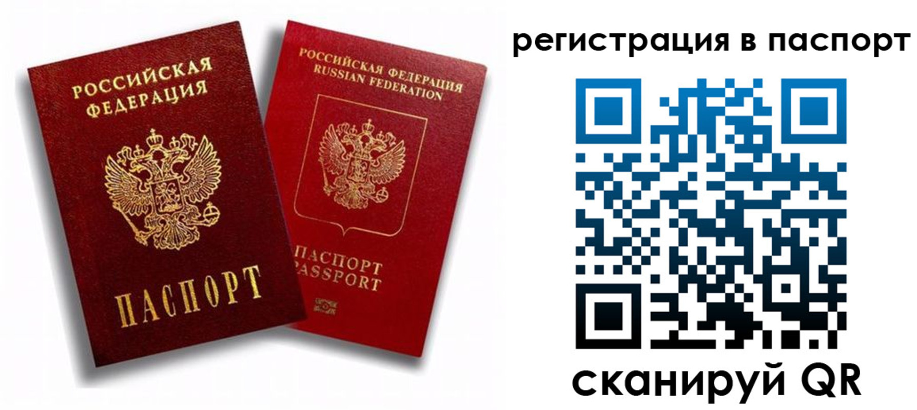прописка 2025 в Далматово